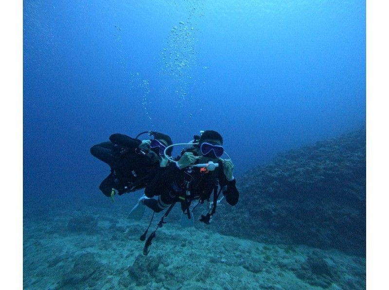 モルダイブ（MalDive） のギャラリー