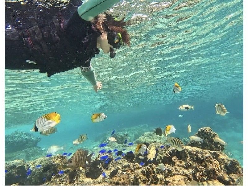 ダイビングショップ リョウ のギャラリー