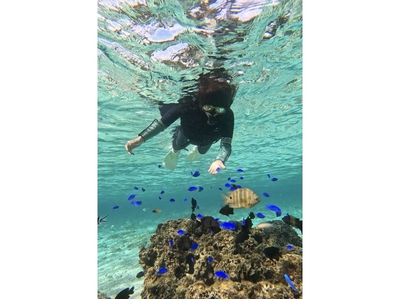 ダイビングショップ リョウ のギャラリー