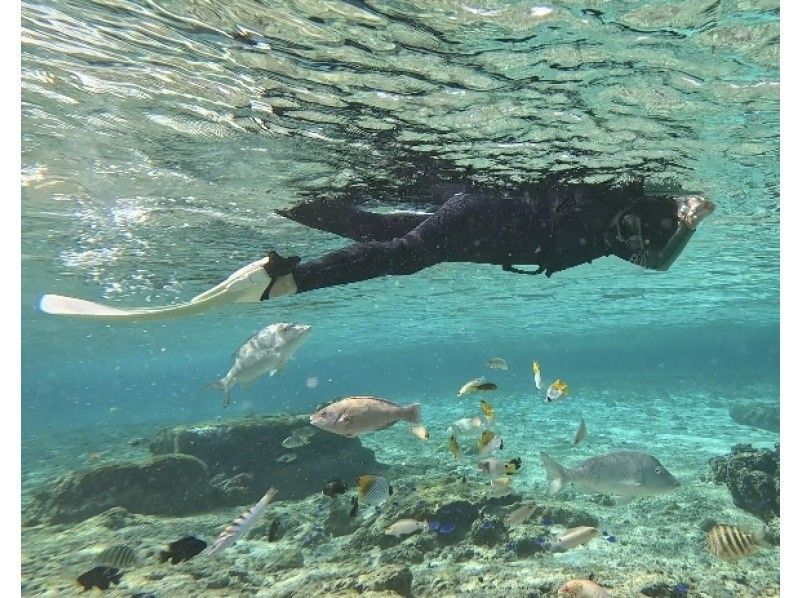 ダイビングショップ リョウ のギャラリー