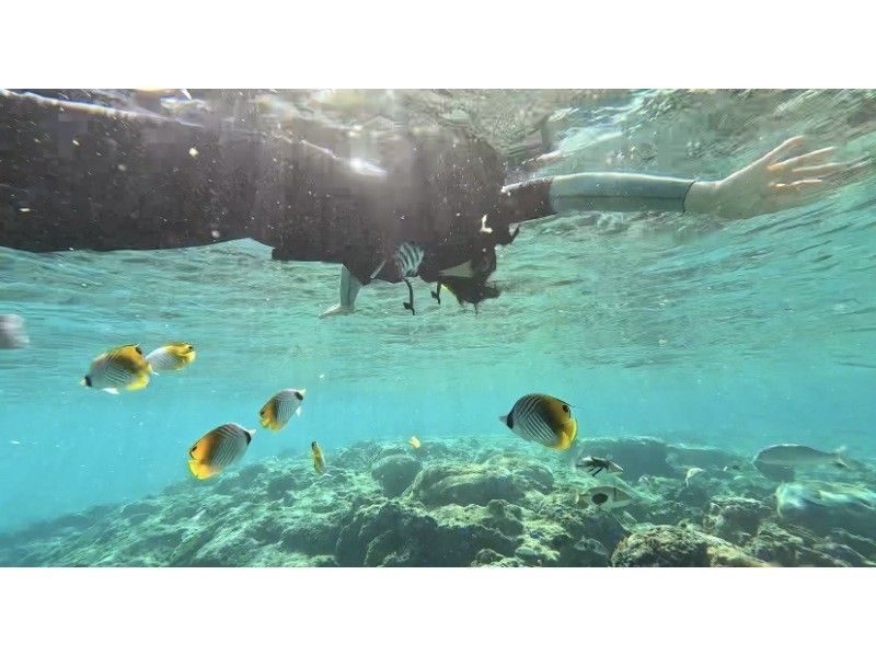 ダイビングショップ リョウ のギャラリー