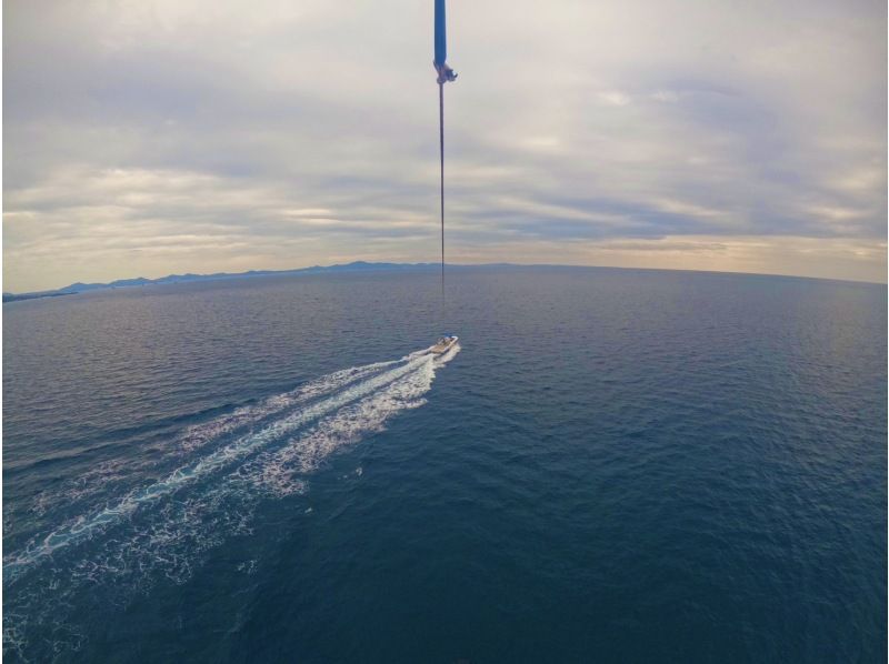 Sea World（シーワールド） のギャラリー