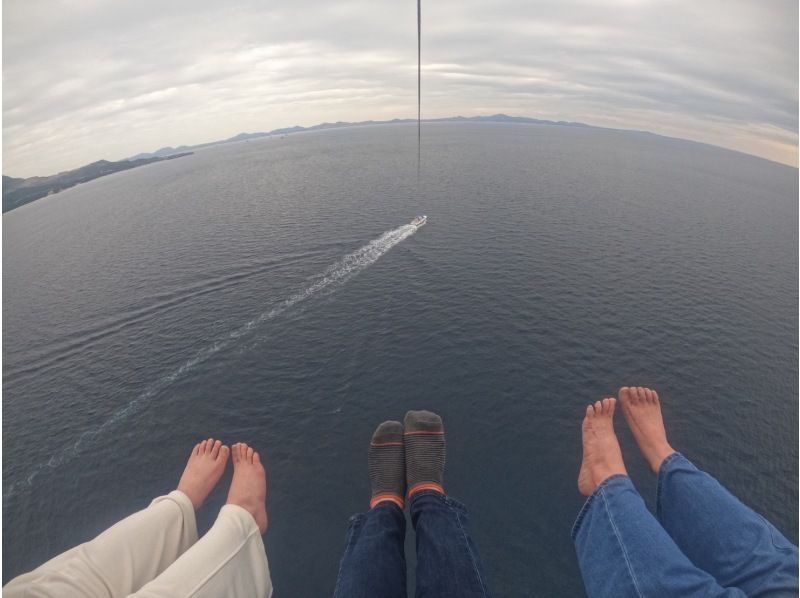 Sea World（シーワールド） のギャラリー