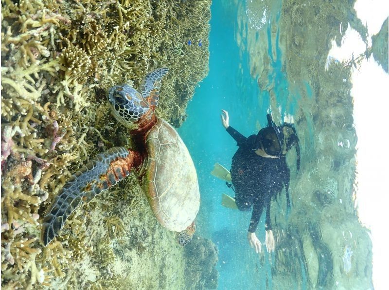 Nami宮古島 のギャラリー