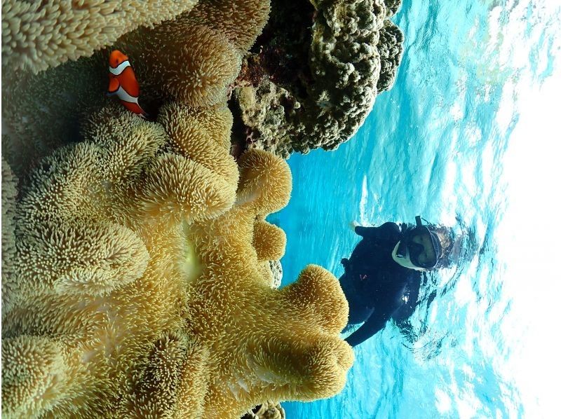 Nami宮古島 のギャラリー