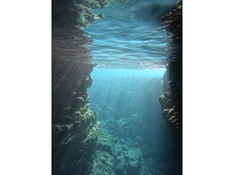 モルダイブ（MalDive） のギャラリー