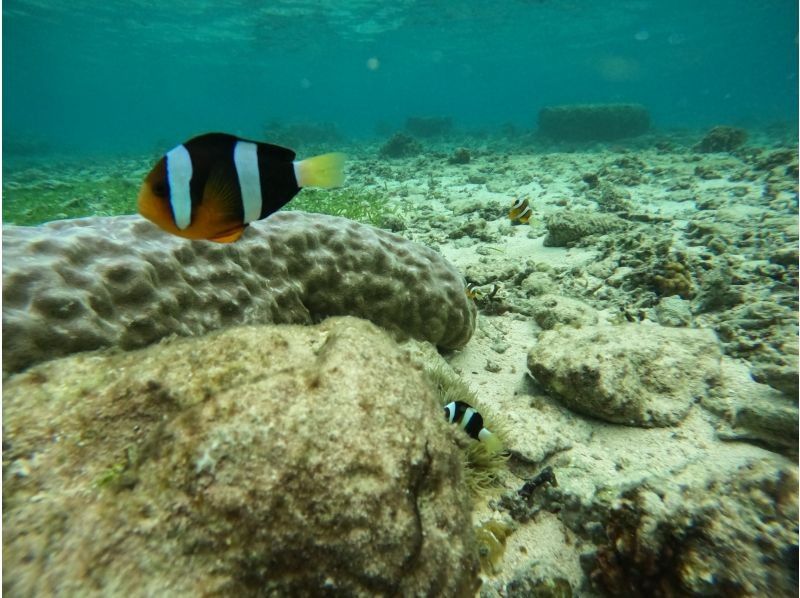 モルダイブ（MalDive） のギャラリー