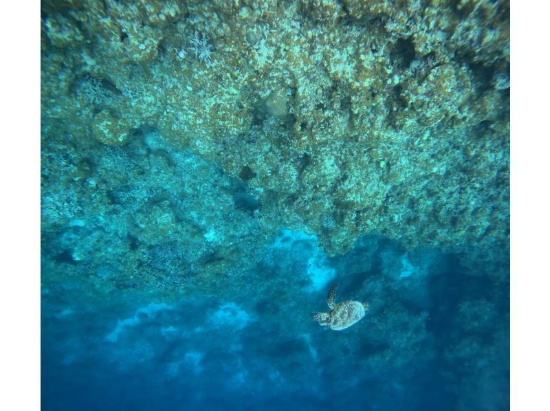 株式会社波商店 のギャラリー