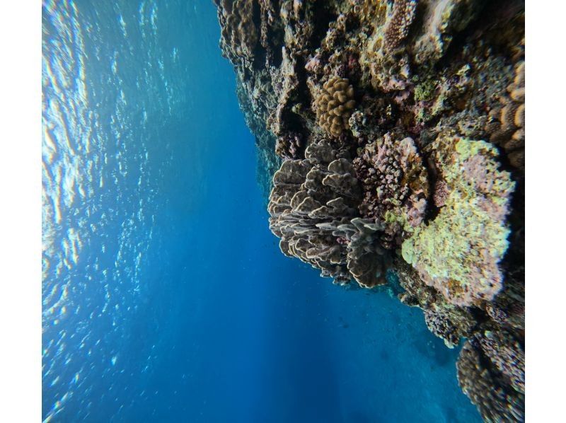 株式会社波商店 のギャラリー