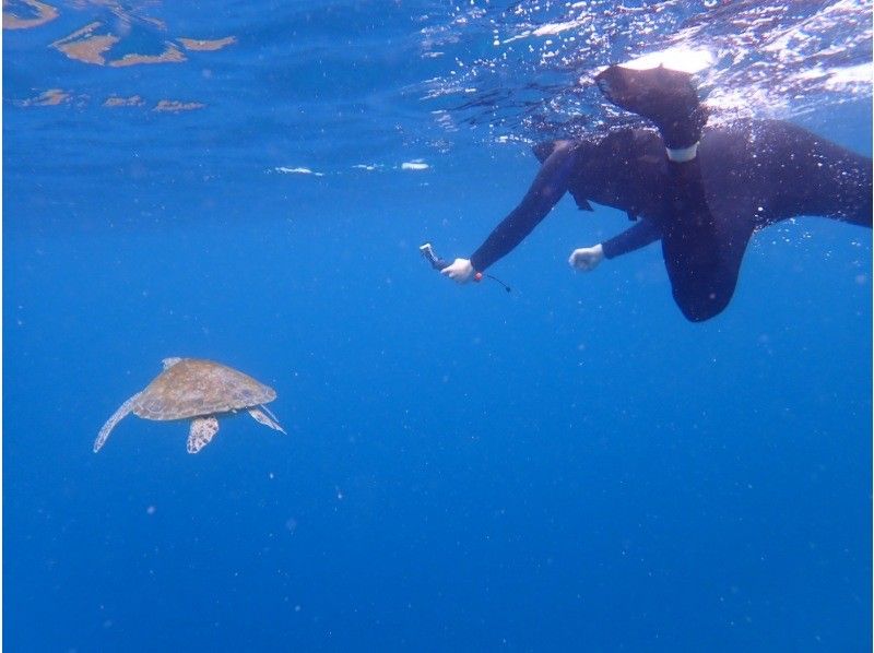 3 piece のギャラリー