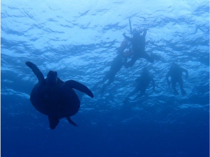 3 piece のギャラリー