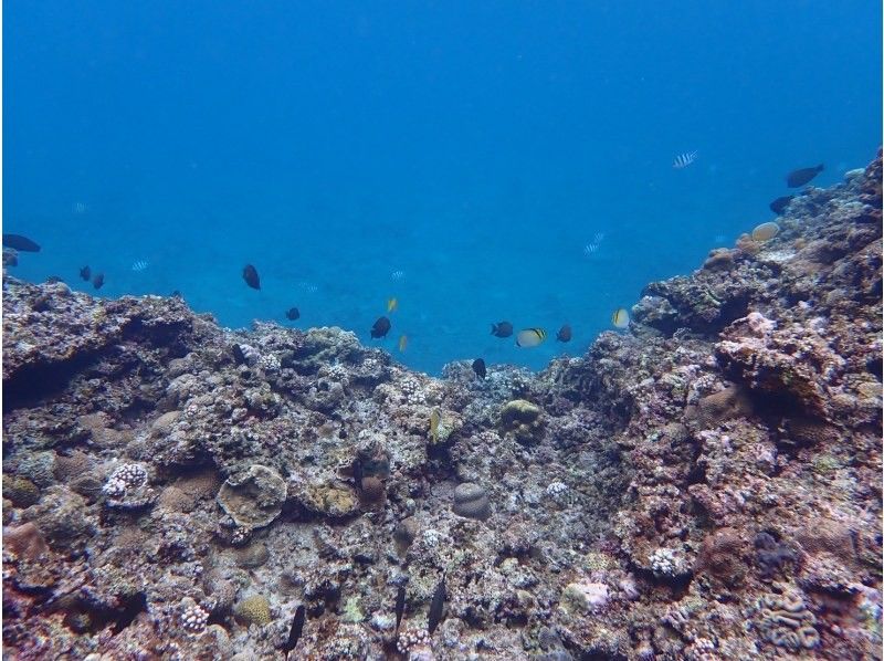 3 piece のギャラリー