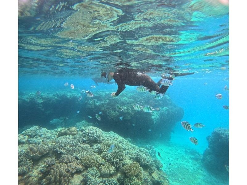 沖縄ダイビング20(Diving20) のギャラリー