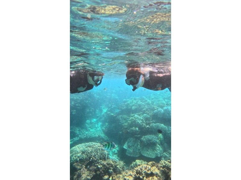 沖縄ダイビング20(Diving20) のギャラリー