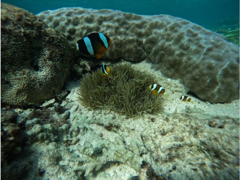 モルダイブ（MalDive） のギャラリー