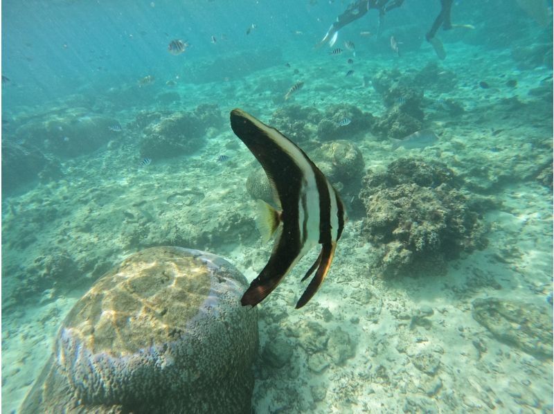 モルダイブ（MalDive） のギャラリー