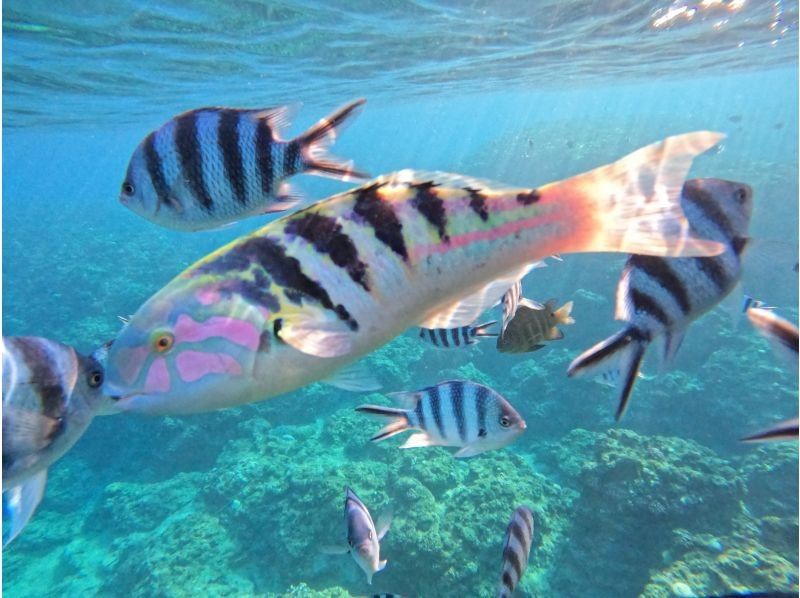 モルダイブ（MalDive） のギャラリー