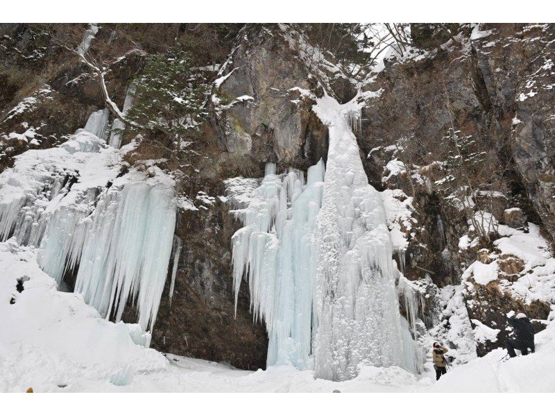 株式会社日光自然博物館 のギャラリー