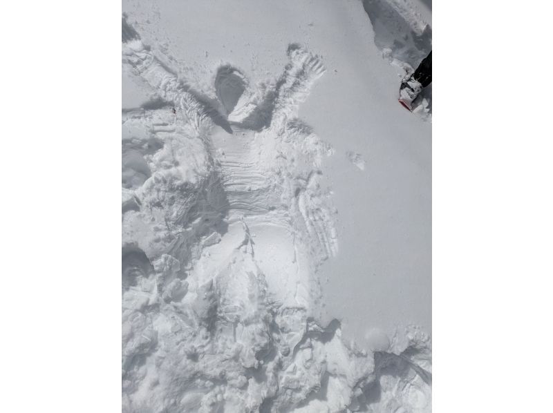 株式会社日光自然博物館 のギャラリー