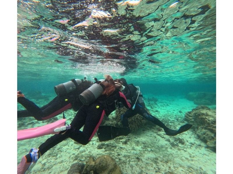 沖縄マリンサービス碧 のギャラリー