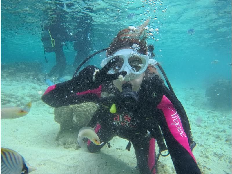 沖縄マリンサービス碧 のギャラリー