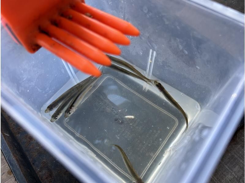 NaturaBase のギャラリー