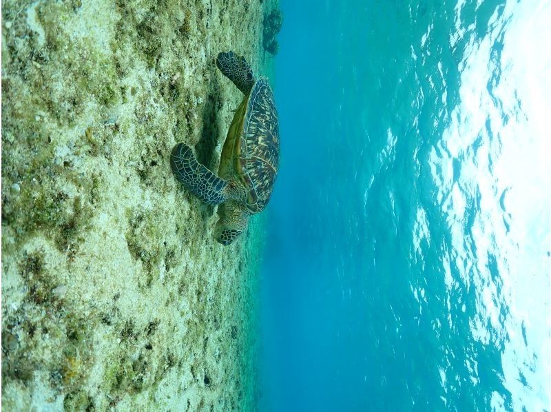 Nami宮古島 のギャラリー