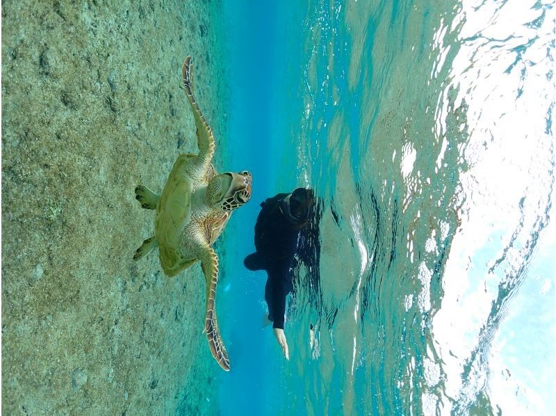 Nami宮古島 のギャラリー