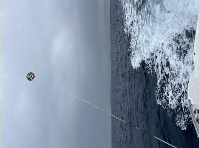 OPG のギャラリー