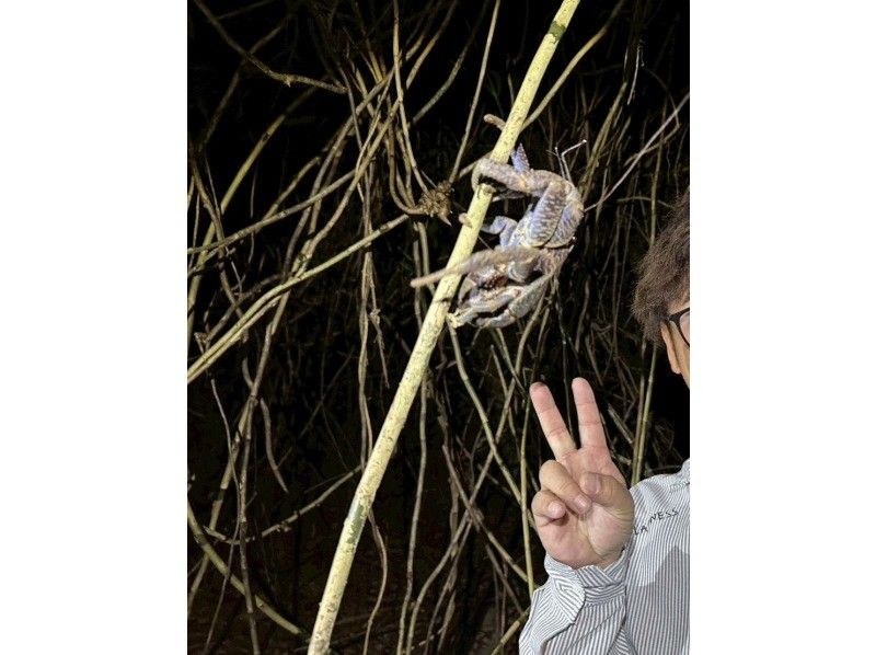 モンキーネイビー のギャラリー