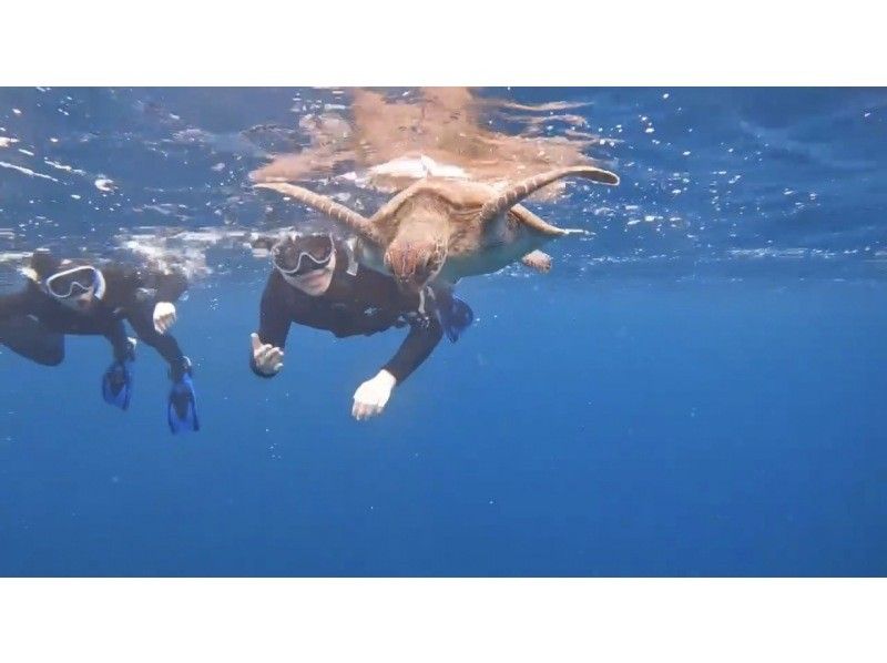 South Blue 石垣島 のギャラリー