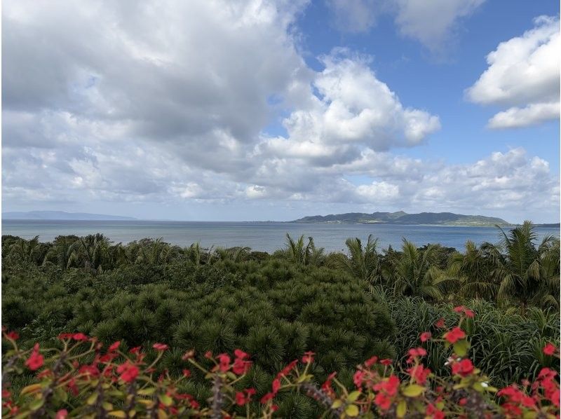 石垣島ツアーガイドAll Blue(オールブルー) のギャラリー