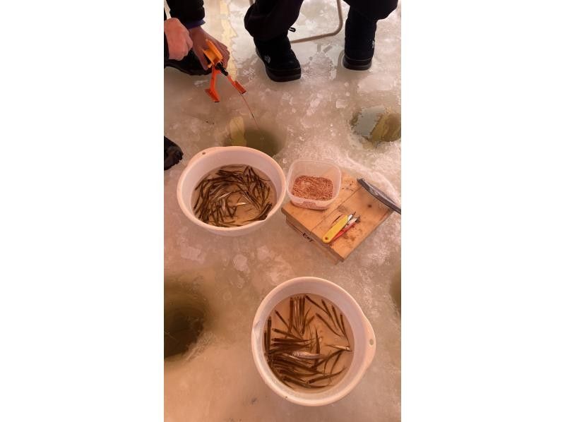 アースアウトドアツアーズ のギャラリー