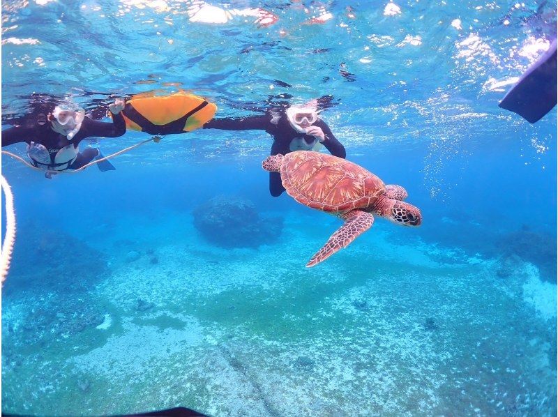 CHAMP TOUR宮古島 のギャラリー