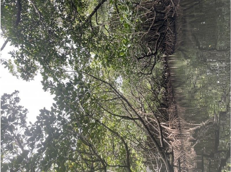 石垣島アクティビティクラブ のギャラリー