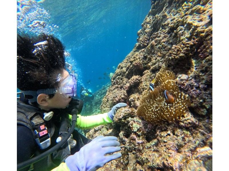 武藤潜水 のギャラリー