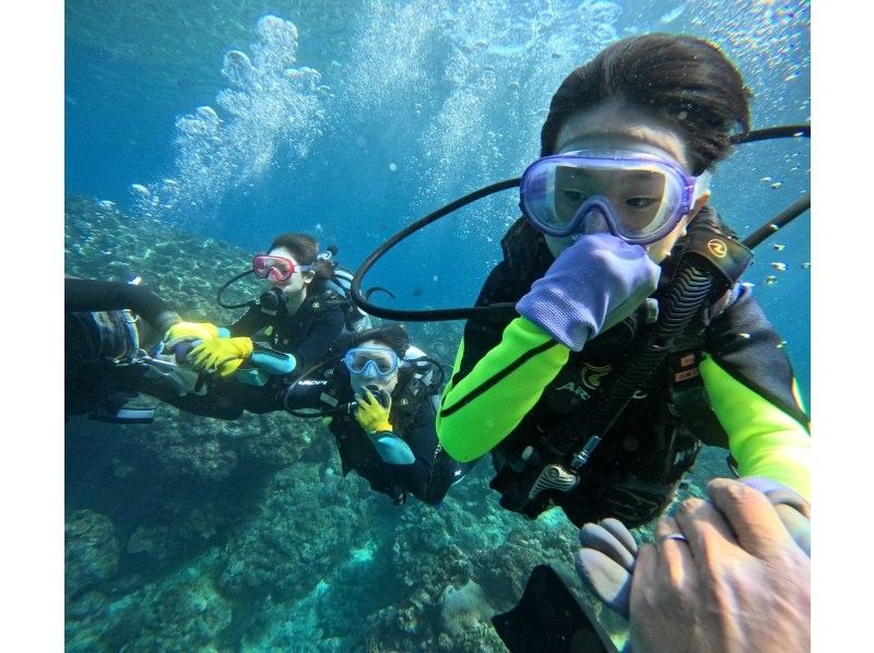 武藤潜水 のギャラリー