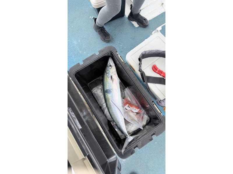 初心者専門釣り船フィッシュソング のギャラリー