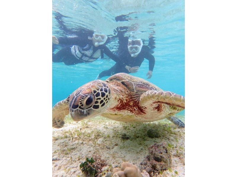 nico 宮古島 のギャラリー