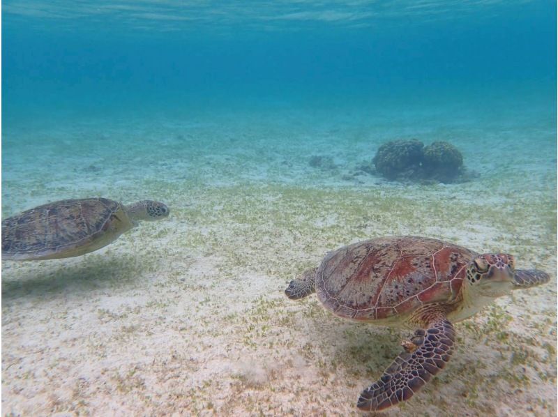 nico 宮古島 のギャラリー