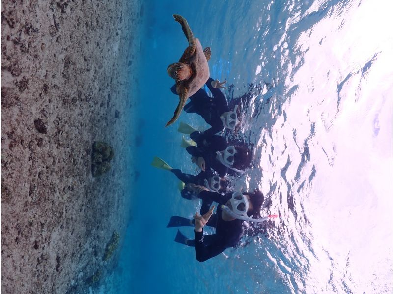 宮古島マリン ふらこぶ のギャラリー