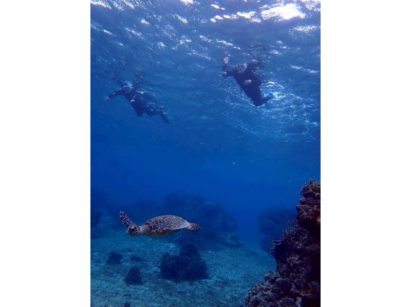 Polepolemarine385 のギャラリー