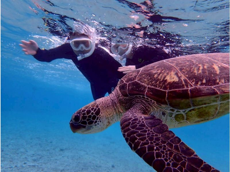 Polepolemarine385 のギャラリー