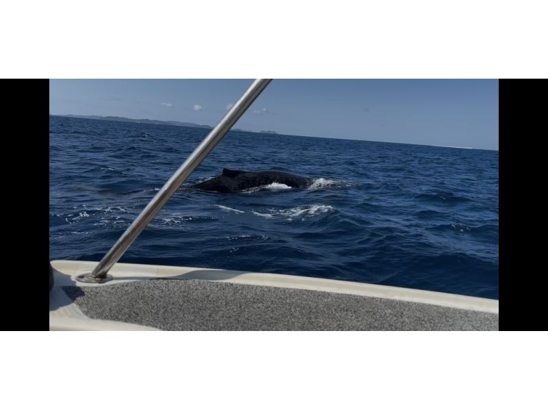 サウスtoサウス(South to South) のギャラリー