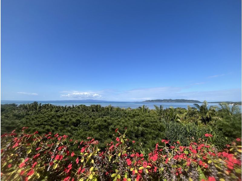 石垣島ツアーガイドAll Blue(オールブルー) のギャラリー