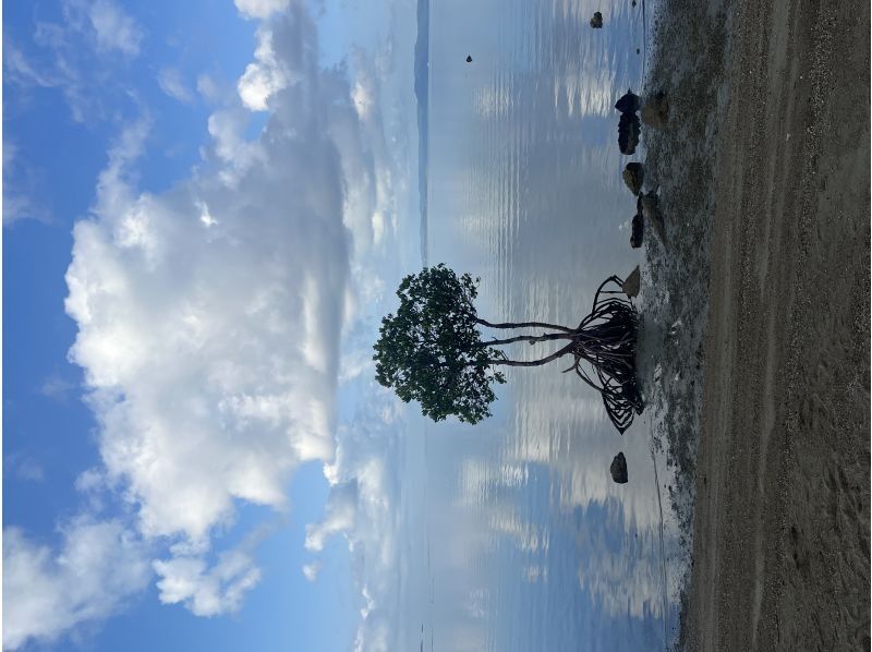 石垣島ツアーガイドAll Blue(オールブルー) のギャラリー