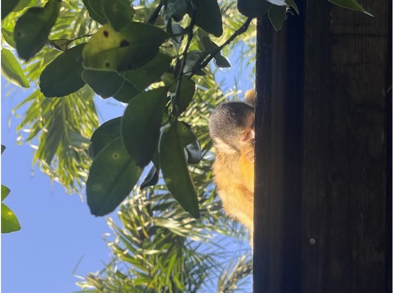 石垣島ツアーガイドAll Blue(オールブルー) のギャラリー