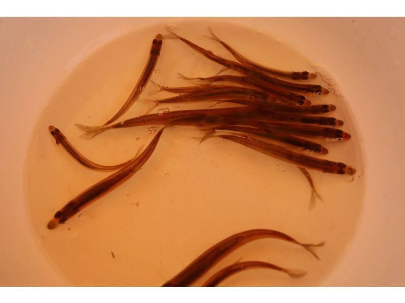 アースアウトドアツアーズ のギャラリー