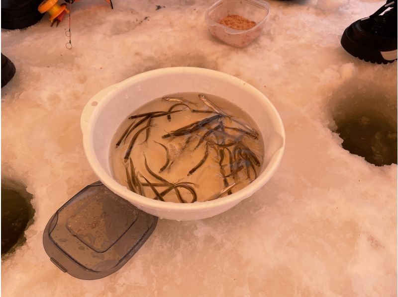 アースアウトドアツアーズ のギャラリー