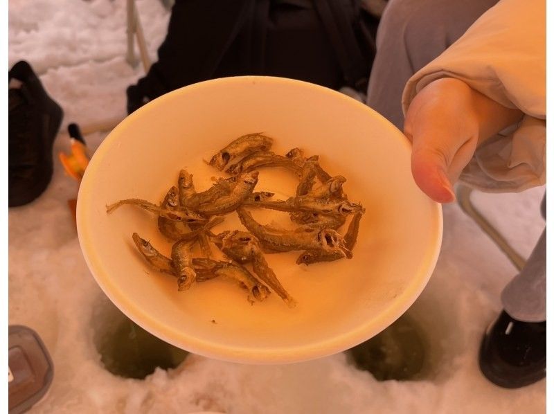 アースアウトドアツアーズ のギャラリー